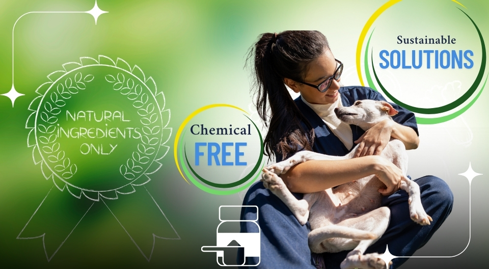 The Rise of Herbal Veterinary Medicine: Why Natural Solutions Are Gaining Popularity Worldwide