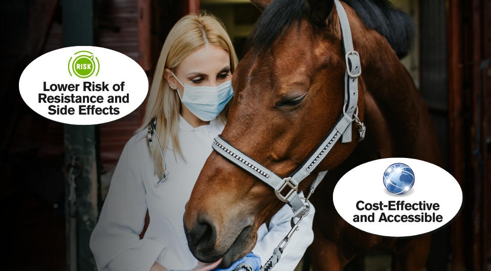 cost effective and accessible