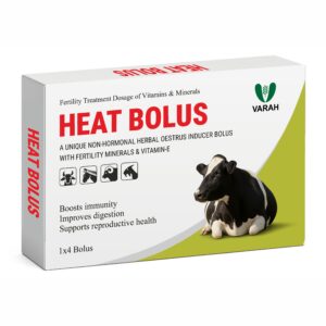 Heat Bolus