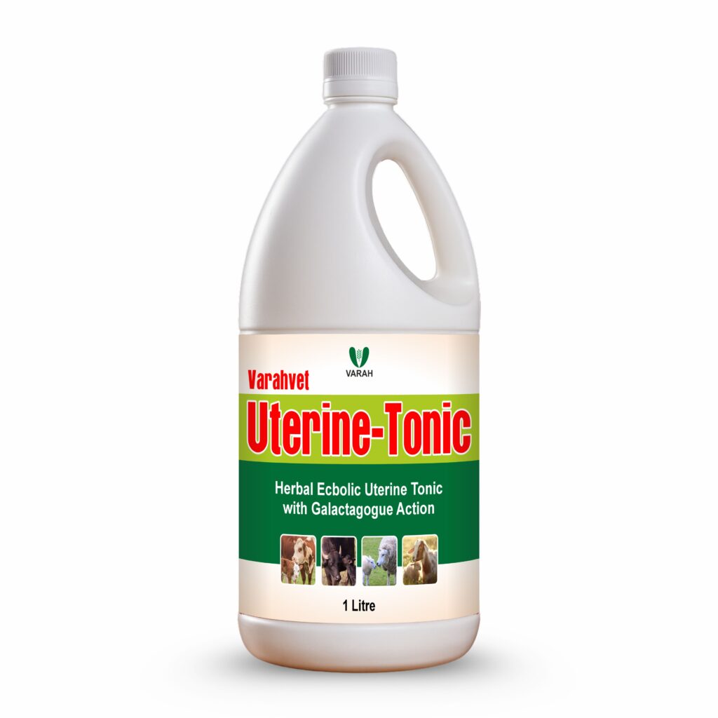 Uterine Tonic