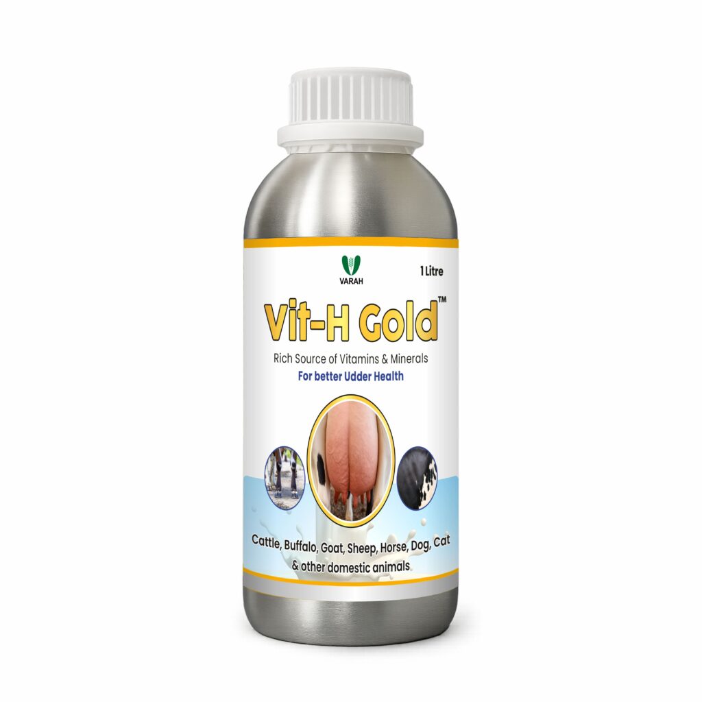 Vit-H-Gold-1