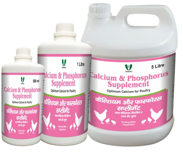 Calcium-Phosphorus-Supplement