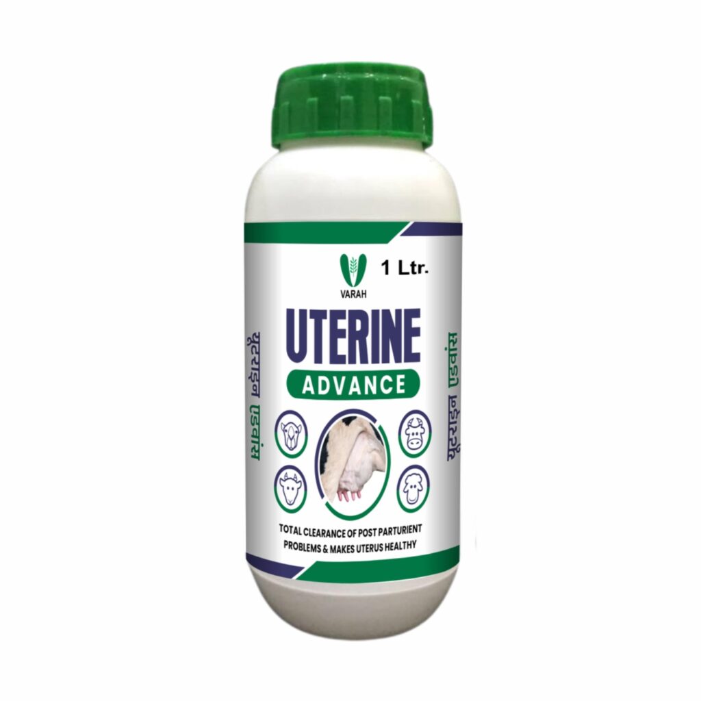 Uterine Advance