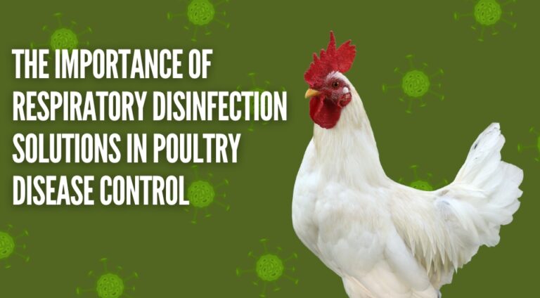 The Importance of Respiratory Disinfection Solutions in Poultry Disease Control