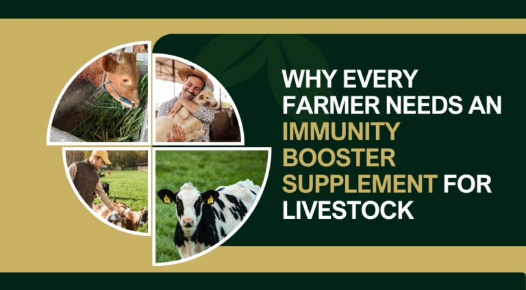 Why Every Farmer Needs an Immunity Booster Supplement for Livestock