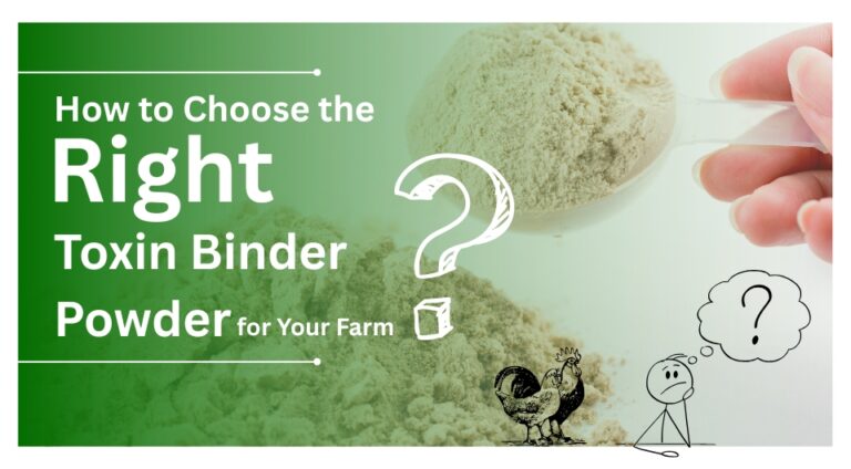How to Choose the Right Toxin Binder Powder for Your Farm
