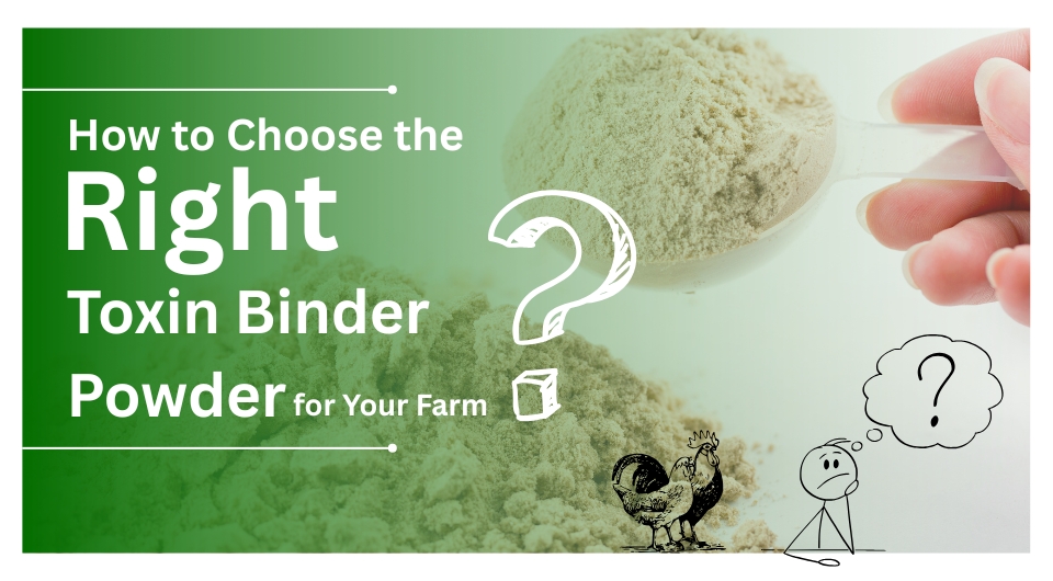 How to Choose the Right Toxin Binder Powder for Your Farm