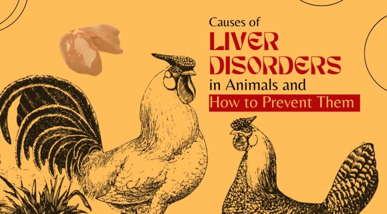 Causes of Liver Disorders in Animals and How to Prevent Them