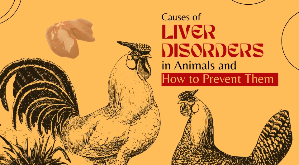 Causes of Liver Disorders in Animals and How to Prevent Them
