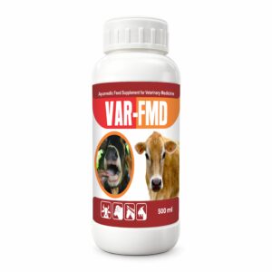 VAR-FMD