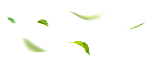 left-leaf