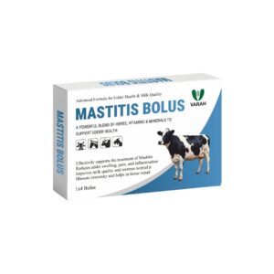 MASTITIS BOLUS