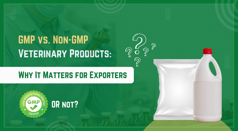 GMP vs. Non-GMP Veterinary Products: Why It Matters for Exporters