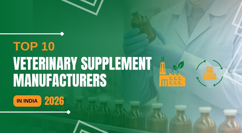 Top 10 Veterinary Supplement Manufacturers in India (2026)