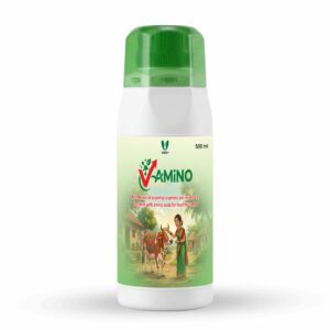 V-AMINO Liquid – Advanced Multi-Vitamin & Amino Acid Formula for Peak Vitality