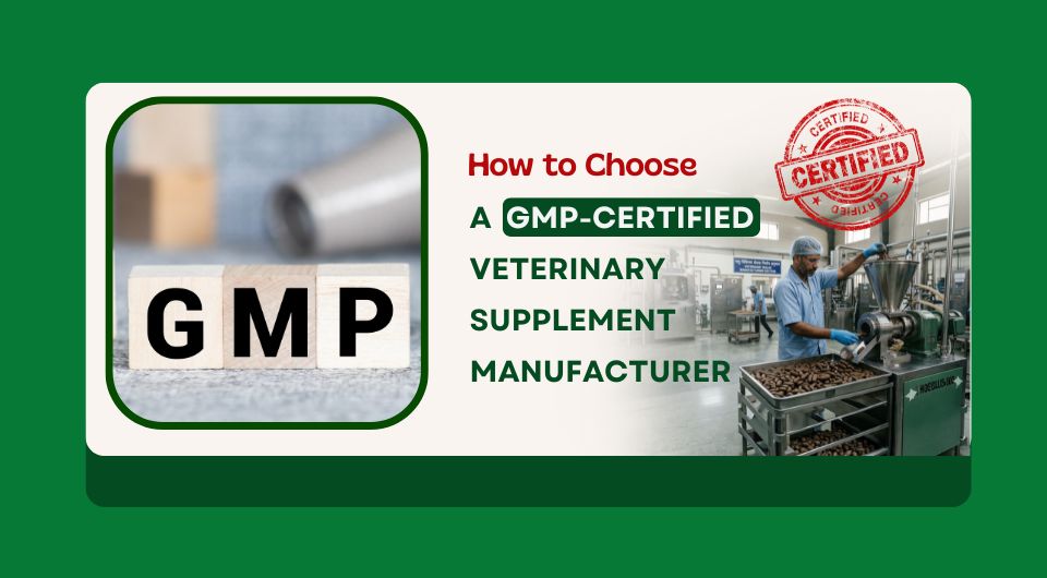 How to Choose a GMP-Certified Veterinary Supplement Manufacturer