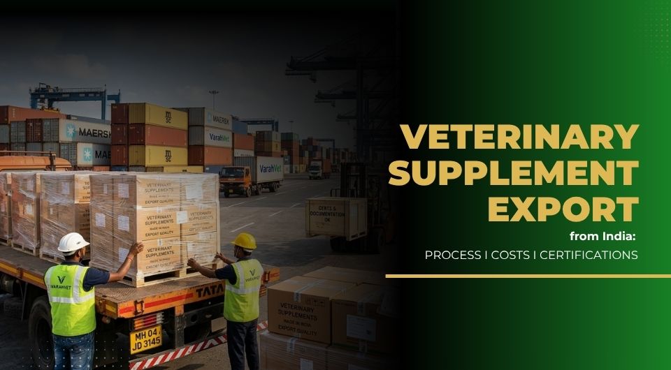 Veterinary Supplement Export from India_ Process, Costs, Certifications