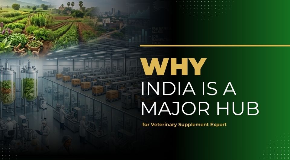Why India Is a Major Hub for Veterinary Supplement Export