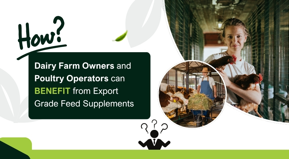 How Dairy Farm Owners and Poultry Operators