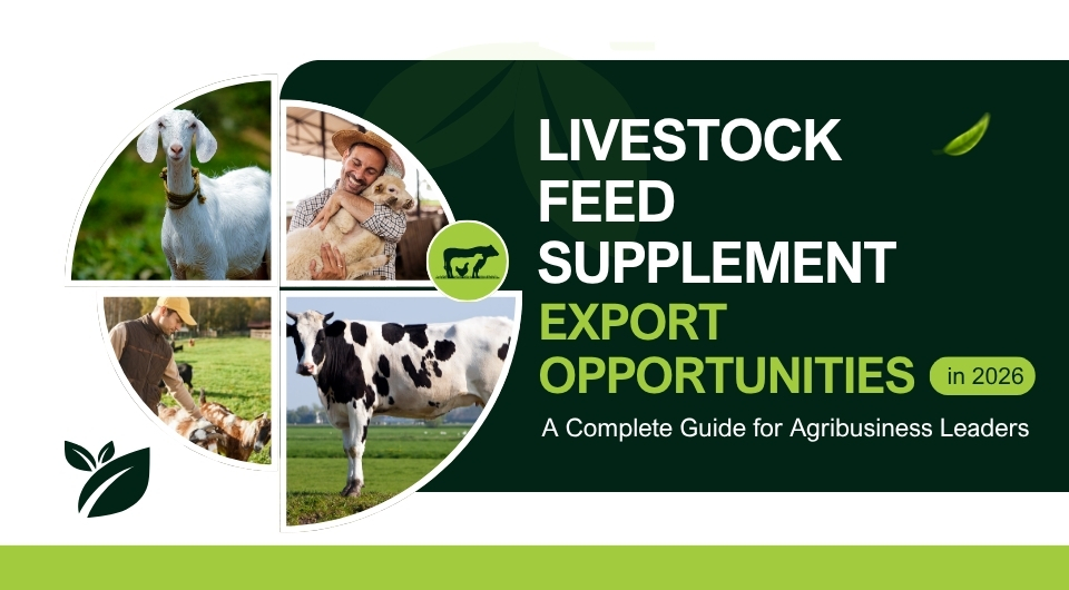 Livestock Feed Supplement Export Opportunities