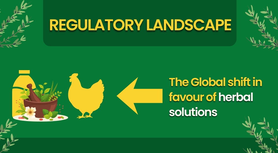 The Global shift in favour of herbal solutions
