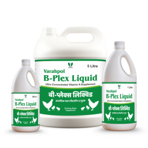Varahpol B-Plex Liquid