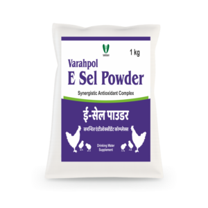 Varahpol E Sel Powder