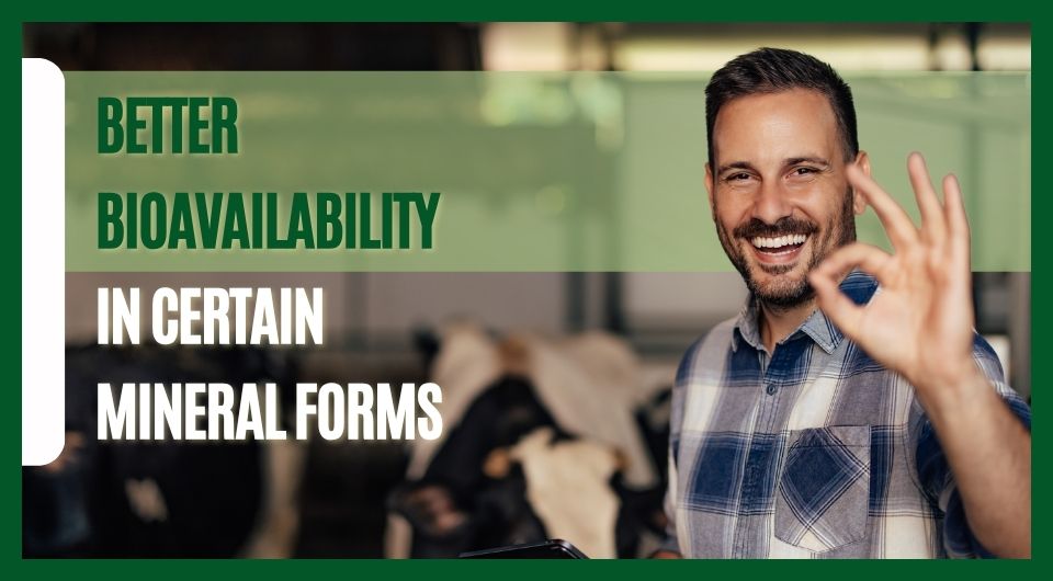 Better Bioavailability in Certain Mineral Forms