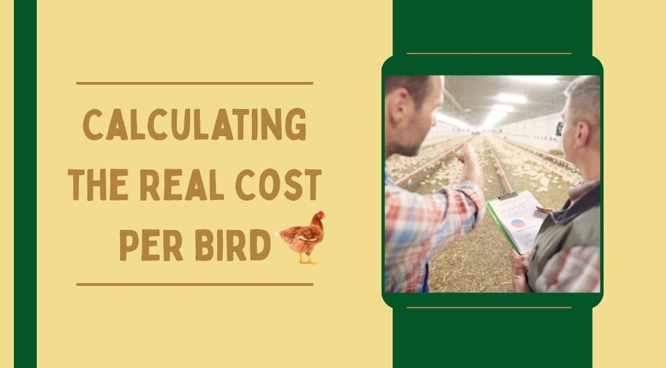 Calculating the Real Cost Per Bird