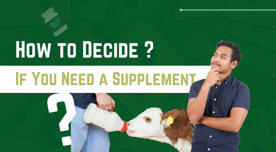 How to Decide If You Need a Supplement