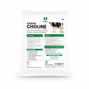 VARAH CHOLINE POWDER