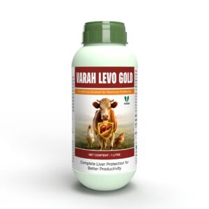 LEVO GOLD