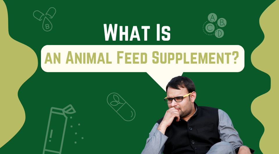What Is an Animal Feed Supplement?
