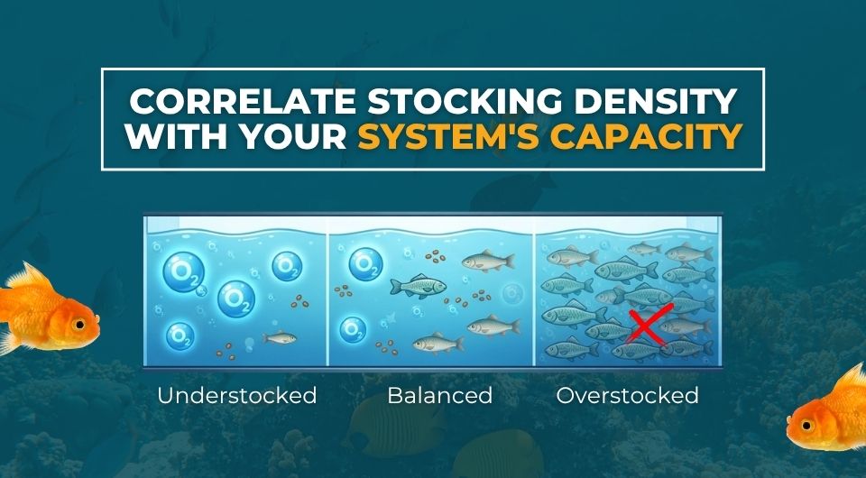 Correlate Stocking Density with Your System's Capacity