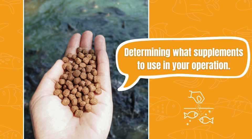 Determining what supplements to use in your operation.